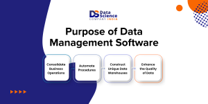 Purpose of data management software in modern businesses.
